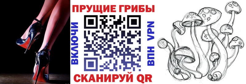 Псилоцибиновые грибы Cubensis Раменское